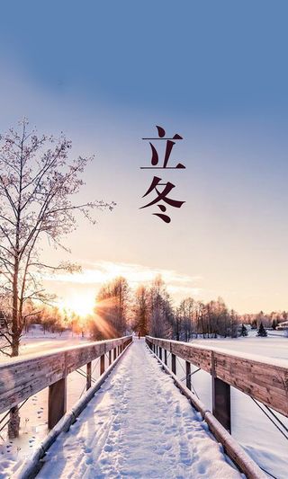 立冬唯美冬日雪景阳光高清