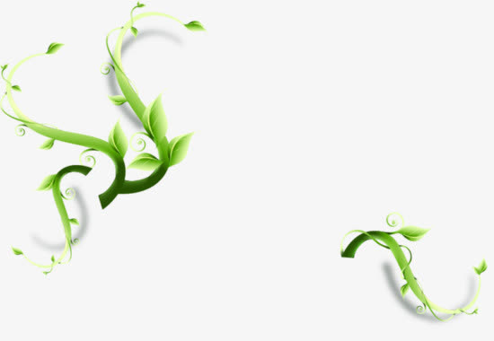绿色藤蔓免抠