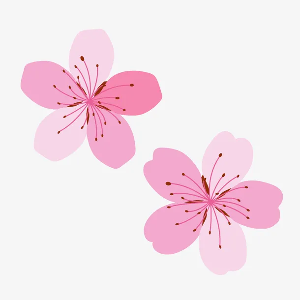 浪漫樱花装饰矢量素材免抠手绘/卡通卡通元素