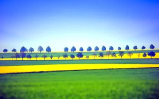 蓝天黄色麦田绿地海报背景