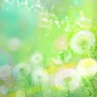 梦幻绿色背景 梦幻绿色背景