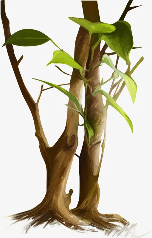 树木树枝免抠