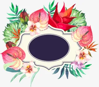 娇艳花朵装饰边框免抠