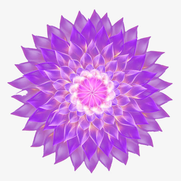 梦幻紫花绽开的花朵顶视图免抠