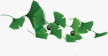 春天漂浮洗发水绿叶免抠