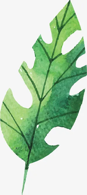 卡通水彩叶子客厅装饰插画设计免抠