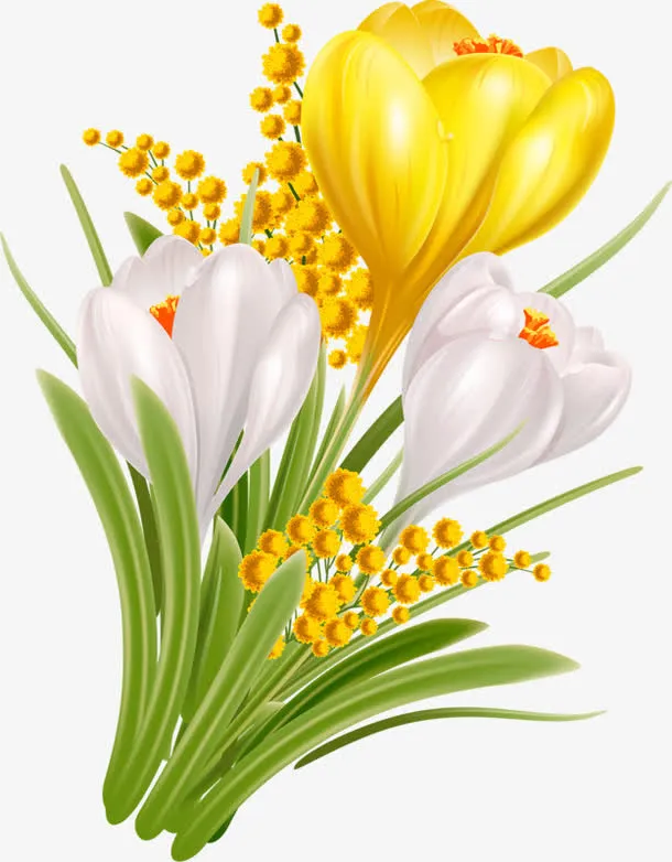一束鲜花免抠