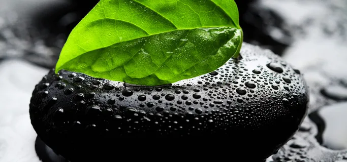 石头水珠绿叶高清