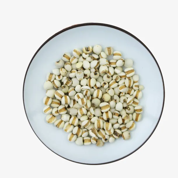 一碟薏米仁设计下载免抠