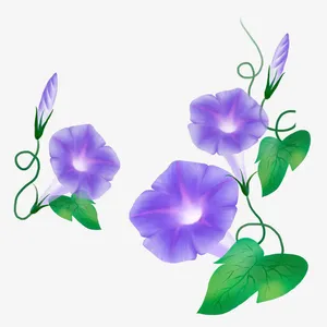 蓝色牵牛花免抠