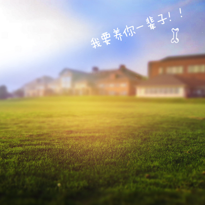 淘宝狗粮猫粮主图高清