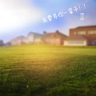 淘宝狗粮猫粮主图高清