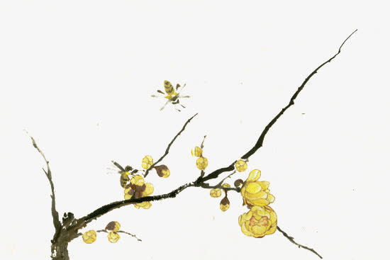 树枝上的黄色花朵手绘免抠