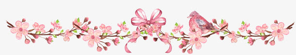 粉色的花朵免抠