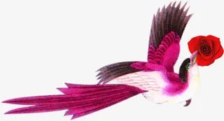 唯美精美喜鹊鸟送花免抠