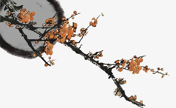 梅花免抠