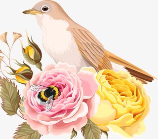 黄色清新花朵小鸟免抠