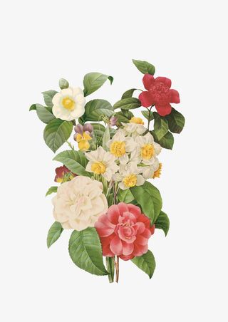 手绘花组合花束免抠