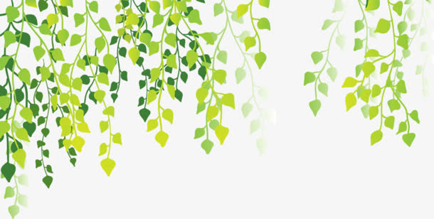 水彩绿叶png素材免抠