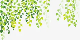 水彩绿叶png素材免抠