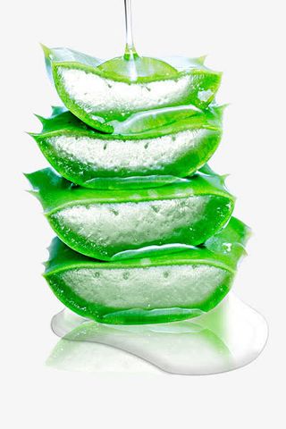 芦荟美容护肤品绿色免抠