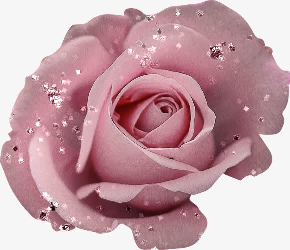玫瑰花朵布艺免抠素材免抠