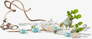 树枝鸟眼镜海报背景