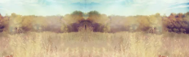 秋季风景虚化背景banner