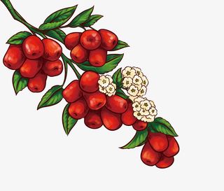 新疆和田枣枣若羌新疆嘎嘣酥脆大免抠