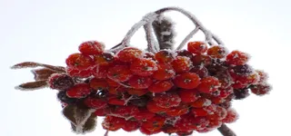 淘宝背景图高清