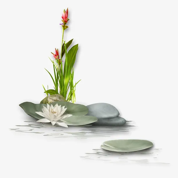 创意合成水中的石头荷叶免抠
