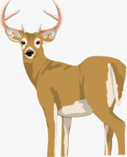 可爱卡通梅花鹿免抠