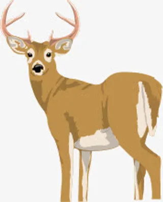 可爱卡通梅花鹿免抠