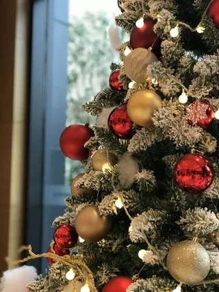 迎接圣诞节的圣诞树高清