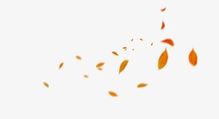 黄色落叶漂浮素材免抠