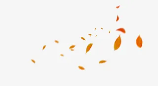 黄色落叶漂浮素材免抠