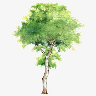 树木背景手绘树木