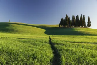 绿色草地山坡小路免抠