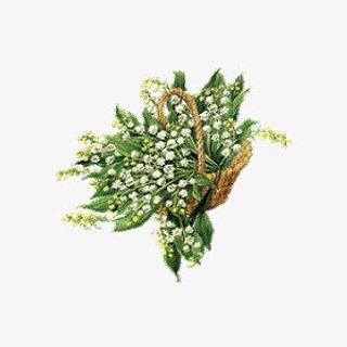 手绘满天星小花免抠