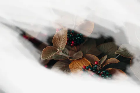 春天绿色黄色花朵免抠