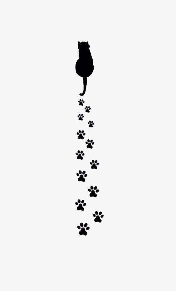 黑猫免抠
