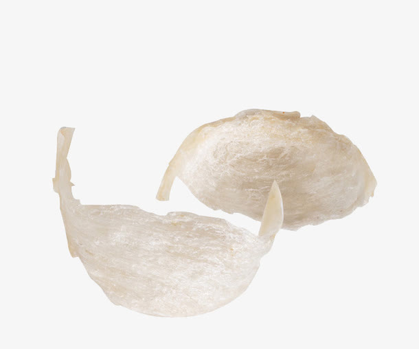 燕窝免抠