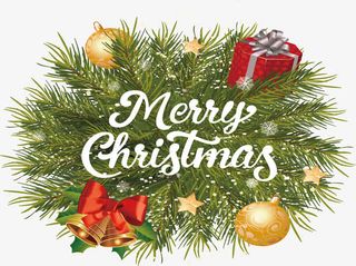 绿色冬日松树枝免抠