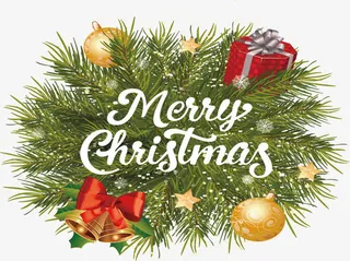 绿色冬日松树枝免抠