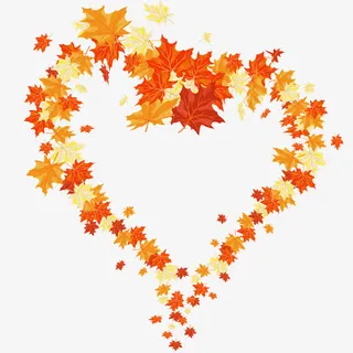 心形枯叶免抠
