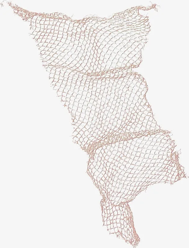 棕色漂亮渔网免抠