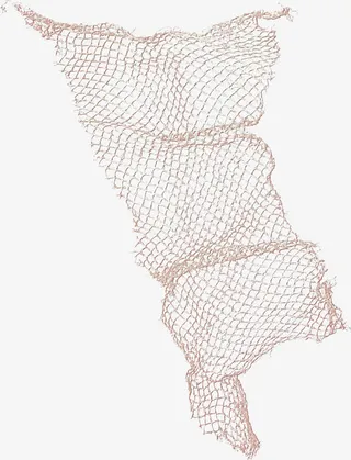 棕色漂亮渔网免抠