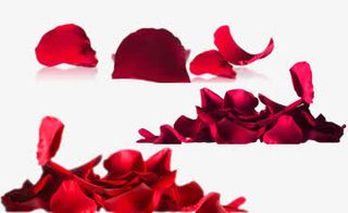 散落成堆的玫瑰花瓣免抠