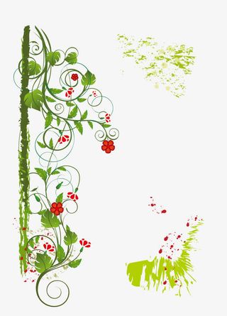 矢量花边花枝藤条免抠