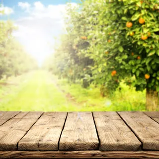 户外森林木板纹理平面广告高清